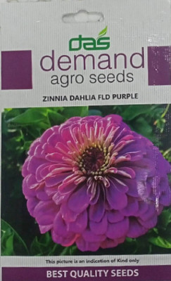 KRASHAK Zinnia Dahlia flower seed Seed(2 per packet)
