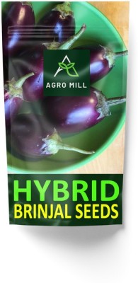 AGRO MILL HYBRID F1 PREMIUM QUALITY BRINJAL/EGGPPLANT/BAINGAN FOR HOME KITCHEN GARDEN Seed(30 per packet)