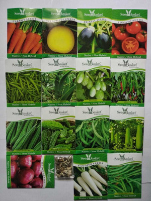 seedbasket Vegetable Seeds Pack of 16 Seed(16 per packet)