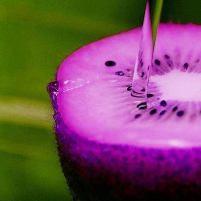 CYBEXIS Kiwi Seeds Milk Taste Delicious Fruit100 Seeds Seed(100 per packet)
