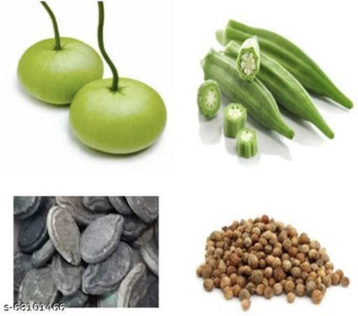 FRESHO All Mixed Vegetable Seeds Seed(550 per packet)