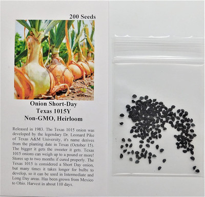 VibeX NBIR-76 - Onion Texas Grano(Yellow) - (4500 Seeds) Seed(4500 per packet)