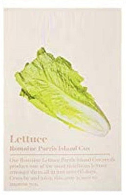 WILLVINE XLR-722 Romaine Lettuce Seed(200 per packet)