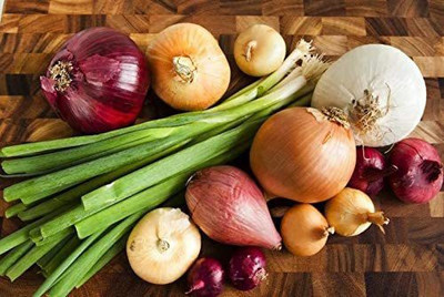 VibeX LXI-5 - Onion Rainbow Mix - (4500 Seeds) Seed(4500 per packet)