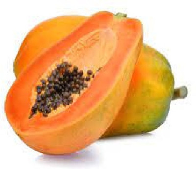 wequality Hybrid papaya seeds/Red lady papaya seeds Seed(65 per packet)