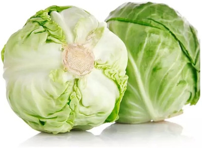 MYLAWN Cabbage Green Vegetables Seed(50 per packet)