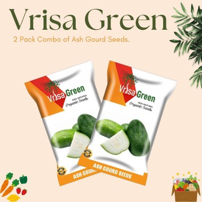 Vrisa Green 2 Packet Combo Of Ash Gourd Vegetable Seeds Seed(100 per packet)