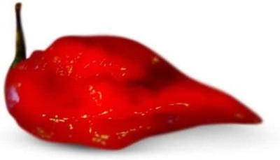 Biosnyg High Germination Red Devils Tongue Pepper Seeds for Garden-(4000 Seeds) Seed(4000 per packet)
