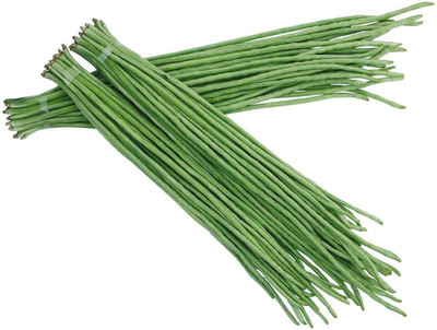 CYBEXIS Cowpea Seeds Slender Green Vegetables200 Seeds Seed(200 per packet)