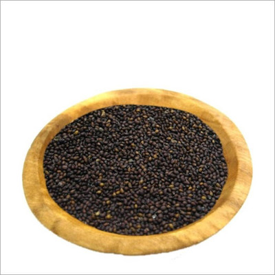 UNIQTRADERS Ocimum Sanctum - Tulsi Seeds Seed(200 per packet)
