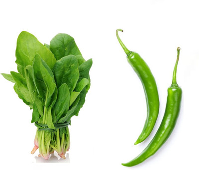 PSAgroinput spinach chilli vegetable Seed(100 g)