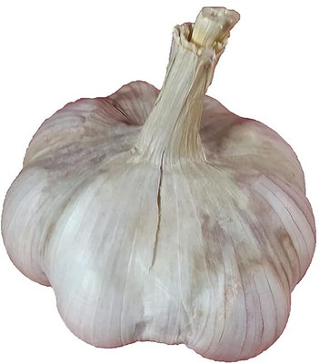 Aywal Garlic Seed(10 per packet)