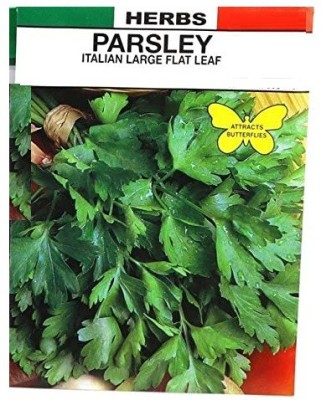 CYBEXIS NBIR-25 - Italian Flat (Organic) Parsley - (750 Seeds) Seed(750 per packet)