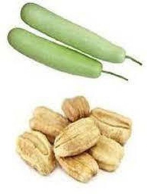 SM Exports Arka Bahar Bottle gourd vegetable seeds 50 seeds per pack. Seed(50 per packet)