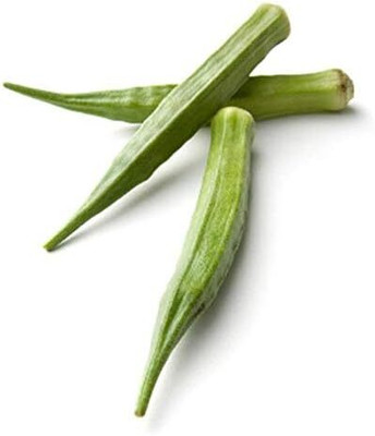 Qualtivate ICRA-3A Dwarf-Stalk Long Green Okra Seed(350 per packet)