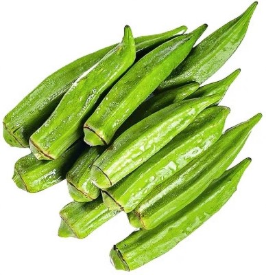 DHENU PRASAD 3743 Hybrid f1 Green Indo Agri Radhika Okra, Bhindi, Lady Finger Seed(3743 per packet)