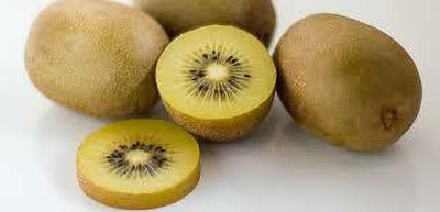 XOLDAA KIWI HYBRID F1 QUALITY FRUIT Seed(173 per packet)