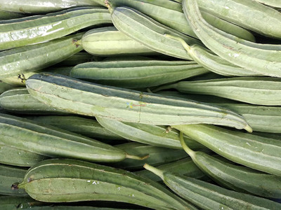 Qualtivate ICRA-9A Luffa Acutangula Angled Ridge Gourd Turai Seed(50 per packet)