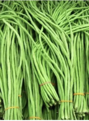AloGardening Snake Bean Seed(95 per packet)