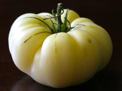DIVINE TOMATO , TAMATAR Seed(20 per packet)