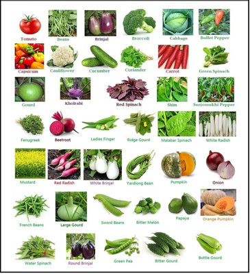 Greenery Hub Vegetable Seeds Mix Combo Seed(40 per packet)