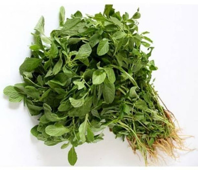 MAA Amaranthus Green Seed(150 per packet)