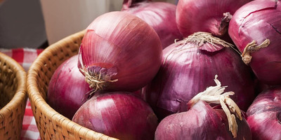 CRGO ONION , PYAAZ Seed(100 per packet)
