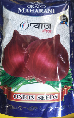 HYBRID 500g, onion seeds (N-53) highest yield Verity early fruiting Seed(500 g)