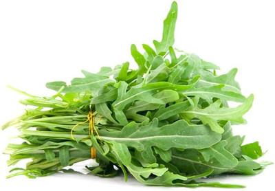 VibeX GBPUT-27 - Organic Arugula (Slow Bolt) - (250 Seeds) Seed(250 per packet)