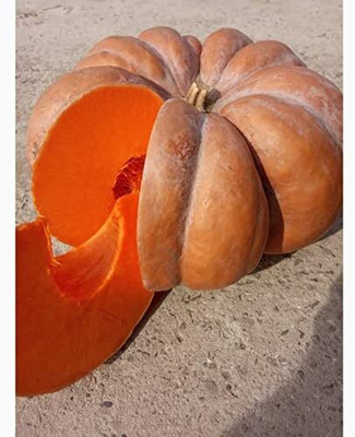 CRGO DIOART-AQW-™Musquee de Provence Pumpkin-20 SEEDS-PS198 Seed(20 per packet)