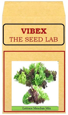 CYBEXIS Lettuce Mix Hybrid Seeds1000 Seeds Seed(1000 per packet)