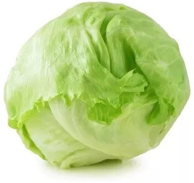 VIATION Lettuce Vegetables Salad Iceberg Lettuce Seed(150 per packet)