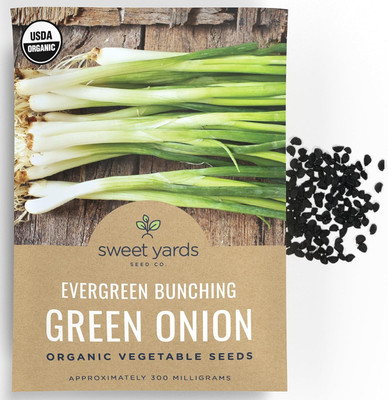 WILLVINE PUSA -XVI Green Onion ‘Evergreen Bunching’ [1g] Seed(750 per packet)