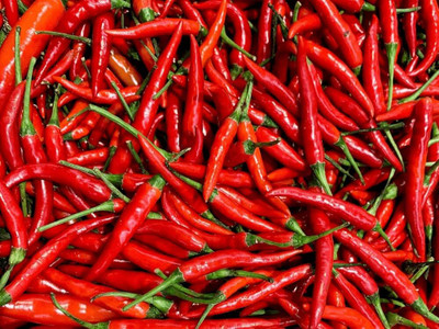 ibains Chilli seeds hybrid Seed(25 per packet)