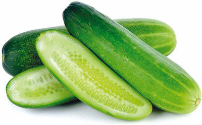 WHYGI Organic Salad Cucumber Seeds - Open Pollinated-CuC_1872 Seed(1000 per packet)