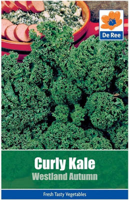 KNESSiN Curly Kale Westland Autumn Seed(1250 per packet)