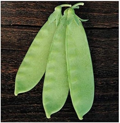 Qualtivate VXL-3AT Chinese Snow Pea Seeds Seed(200 per packet)