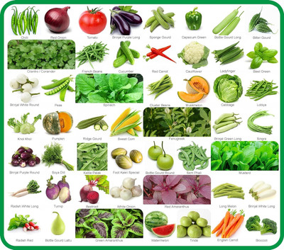 CRGO 50 Vegetable Seeds Combo Pack For Kitchen Garden With Instruction Manual. Seed(2000 per packet)
