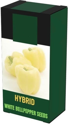 Qualtivate GBPT-6A Capsicum White Wonder Seeds Seed(100 per packet)