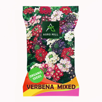 AGRO MILL VERBENA/VERVAIN MULTIFLORA MIXED PREMIUM QUALITY FLOWER Seed(50 per packet)