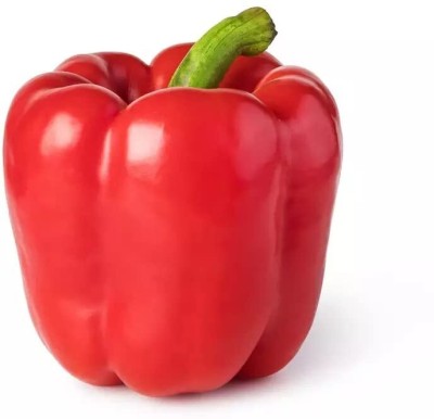 Aywal Capsicum/Shimla Mirch/Bell Pepper Seed(320 per packet)