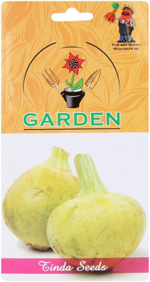 CYBEXIS Tinda/Round Gourd Seeds-100 Seeds Seed(100 per packet)