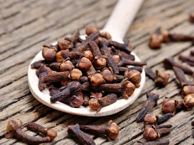 VibeX ® VXI-39 Clove Seeds Syzygium Aromaticum Seed(50 per packet)