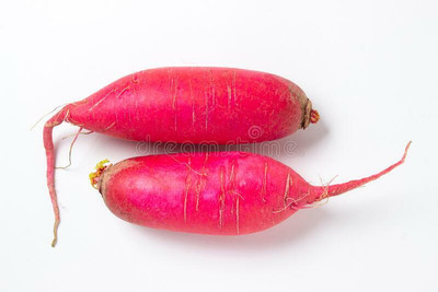 XOLDA Organic red radish Seed(43 per packet)