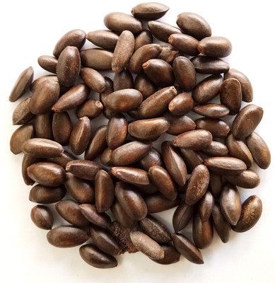 CRGO APPLE , SEV Seed(20 per packet)