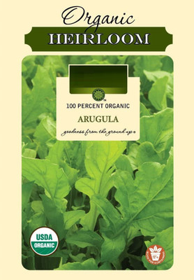 CYBEXIS XLR-6 - Roquette Arugula Herb - (250 Seeds) Seed(250 per packet)