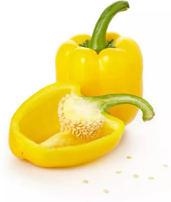 Kirat Yellow Bell Pepper/Capsicum Seed(500 per packet)