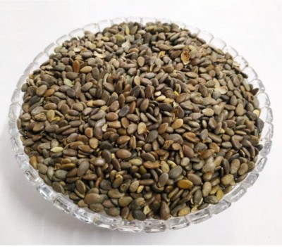 SEVENGRAINS INDRAYAN BEEJ, BEEJ INDRAYAN, BEEJ INDRAIN, TUMBA SEEDS, CITRULLUS COLOCYNTHIS Seed(500 per packet)