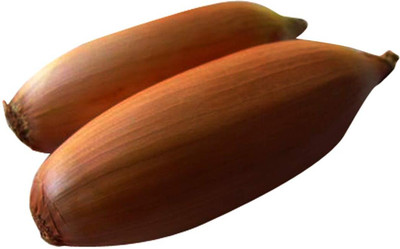 WILLVINE Fast Germination Shallot red Onion Vegetable Seeds-[5000 Seeds] Seed(5000 per packet)