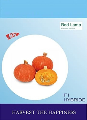 Qualtivate RES-2A Red-Lamp Pumpkin vegetables f1 hybrid Seed(50 per packet)